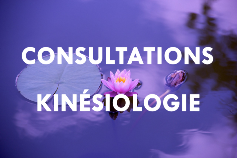 Services de consultations de Kinésiologie (ESIH, Giromagny, Territoire de Belfort)