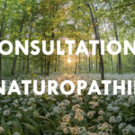 consultations naturopathie esih giromagny