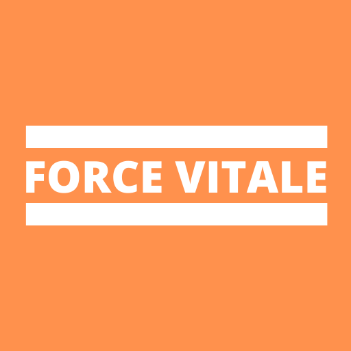 laforcevitale.fr